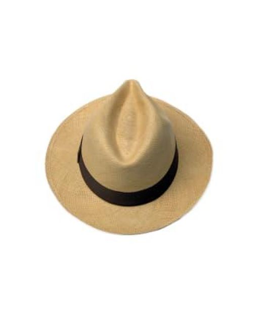 Sombrero clásico panamá tobacco Bornisimo de hombre de color Brown