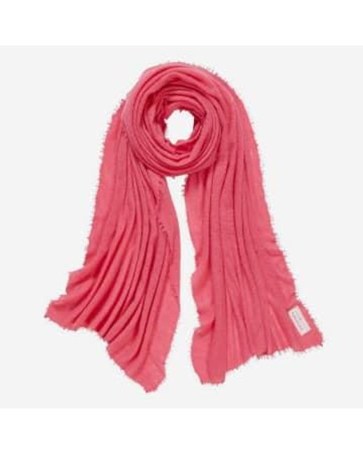PUR SCHOEN Pink Hand Felted Cashmere Soft Scarf Watermelon + Gift
