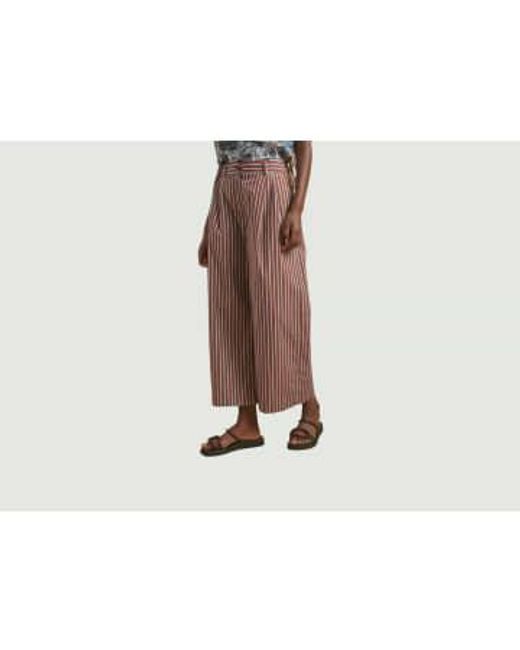 Pantalon Ponio Diega en coloris Brown