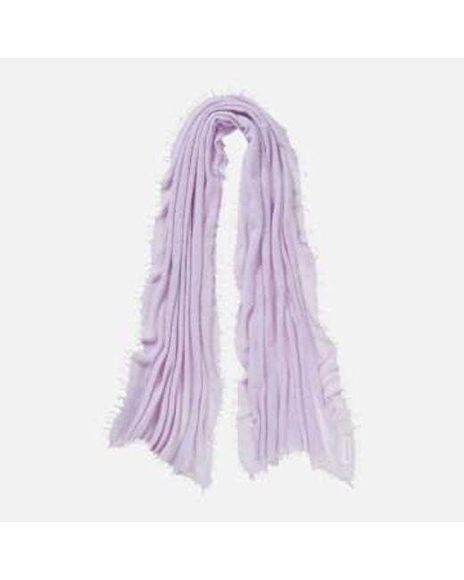 PUR SCHOEN Purple Hand Felted Cashmere Soft Scarf Lavender + Gift