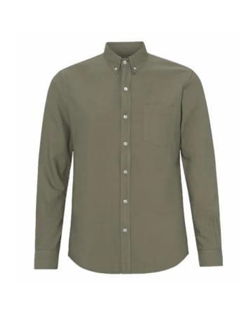 COLORFUL STANDARD Green Organic Cotton Oxford Shirt Dusty for men