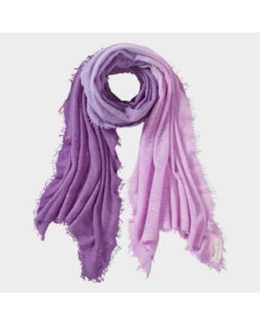 Cachemira mano mano suave bufanda ombre lila-purpre + regalo PUR SCHOEN de color Purple