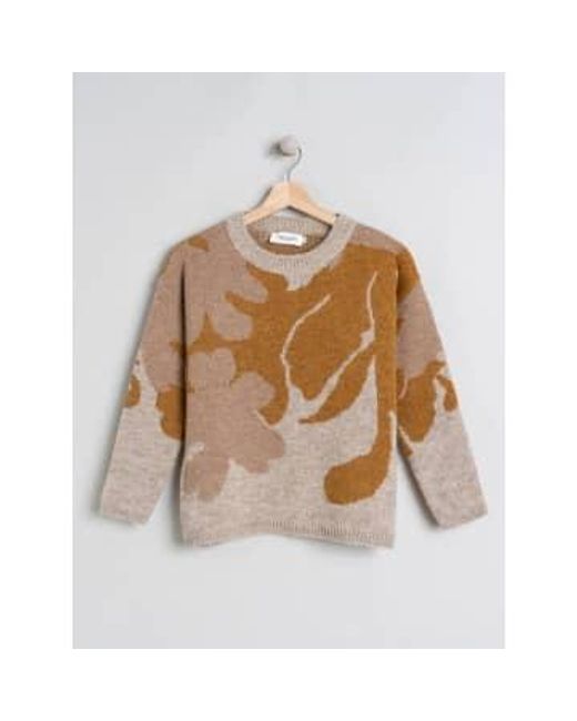 Indi & Cold Brown Leaves Knit Sweater