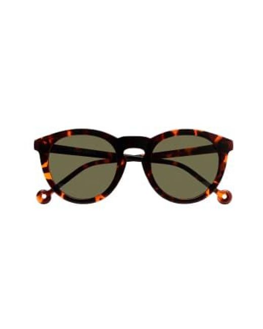 Parafina Brown Eco-friendly Sunglasses Mar Tortoise Sustainable & Fairtrade Choice for men