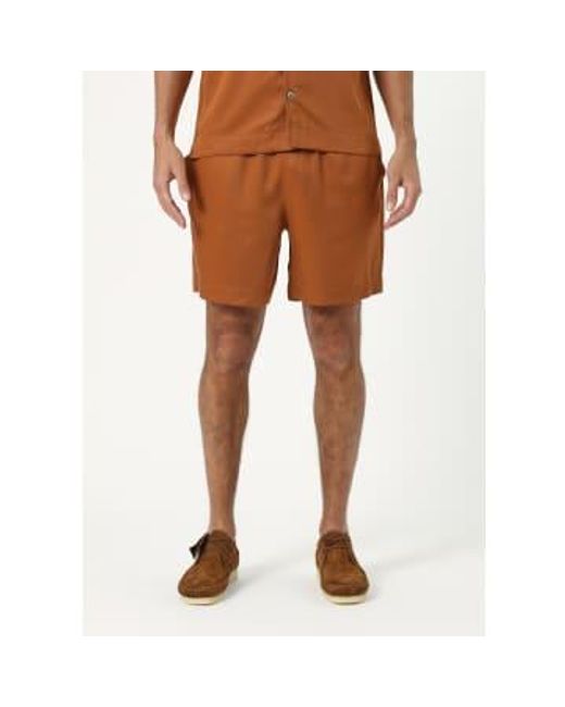 CHE Brown S Shorts for men