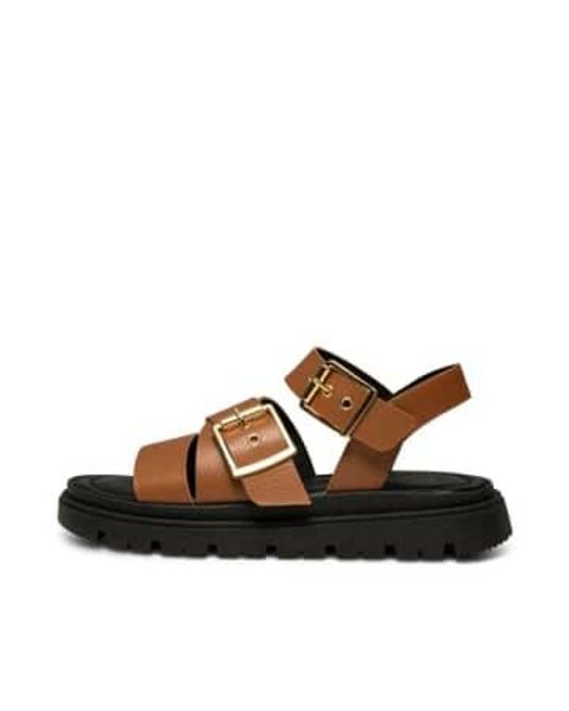 Shoe The Bear Brown Rebecca Buckle Leather Sandal 37 for men