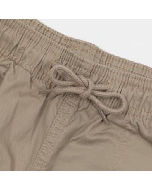 Pélican shorts rapis à Dickies pour homme en coloris Natural