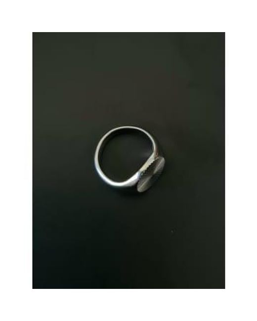 Golden Ivy Gray Cato Stainless Steel Ring
