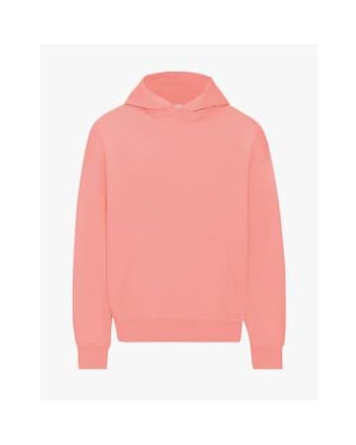 COLORFUL STANDARD Pink Organic Oversized Hoodie Bright / S for men