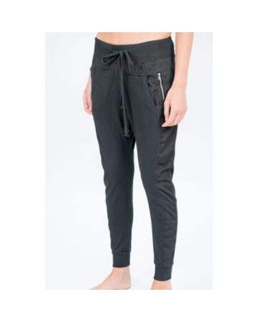Suzy D Metallic The Ultimate joggers Navy, Black, Olive, , Charcoal