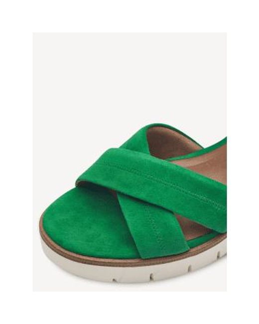 Sandales en daim vert Tamaris en coloris Green