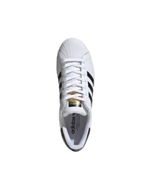 Chaussures superstar cloud /core black/cloud Adidas pour homme en coloris White