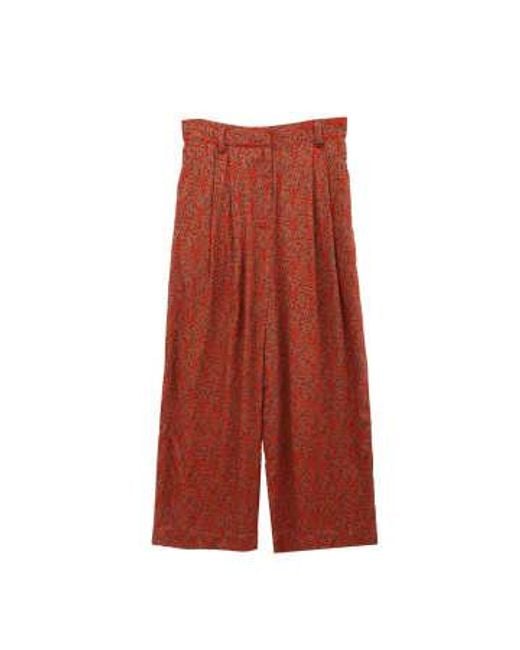 See U Soon Red Trousers With Floral Print Size 36