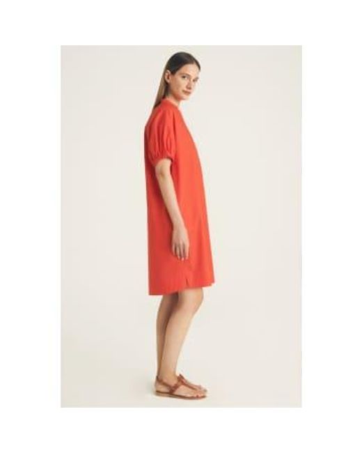 ROSSO35 Red Dress 8