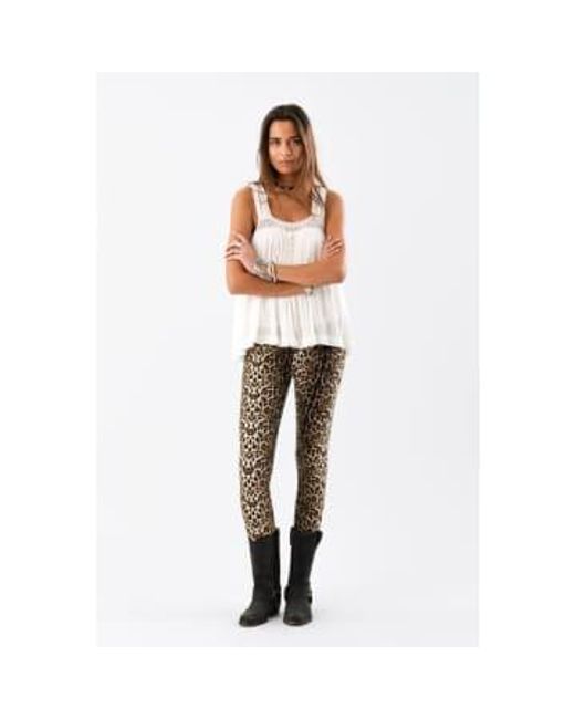 Every Thing We Wear White Lollys Laundry Newton Top Cream Xs