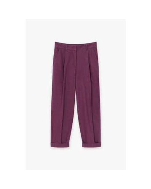 Pantalones lahti rojo oscuro CKS de color Purple
