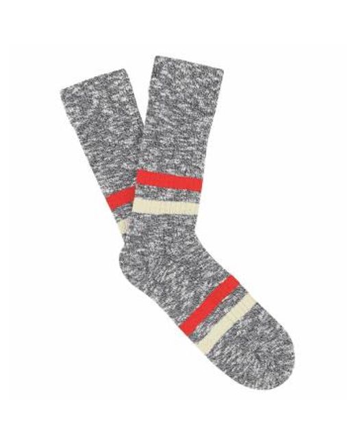 Escuyer Gray Melange Stripes Socks for men
