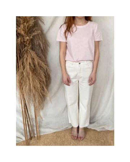 Mus & Bombon Pink Basic T-shirt In Organis Cotton Xs