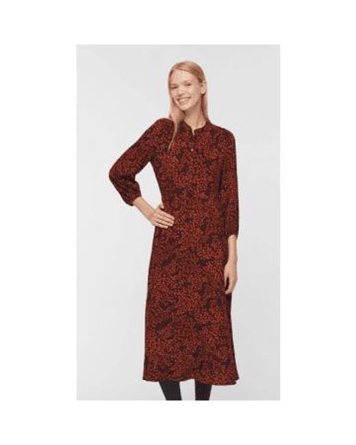Dress Midi Tree Seed Print 323 From di Nice Things in Red