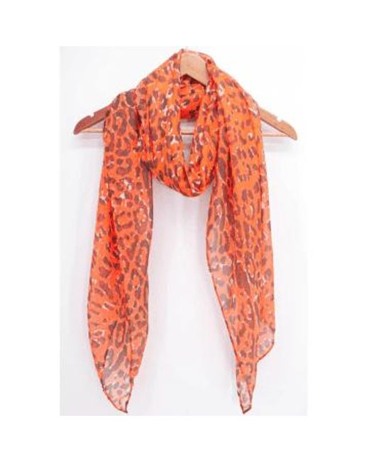 MSH Red Leopard Print Scarf