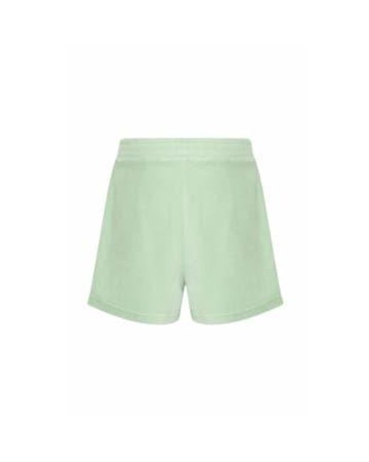 Ichi Green NABI -Shorts in Spucestone