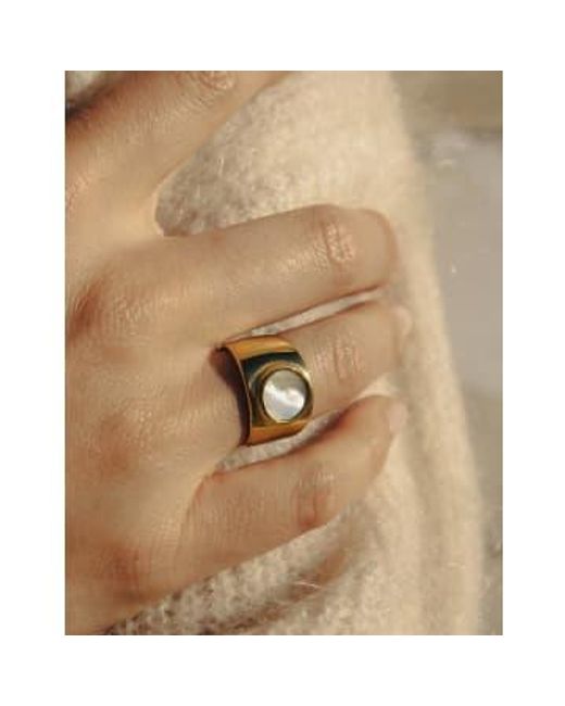 Nordic Muse Brown Shell Band Ring, Waterproof L