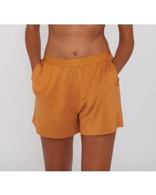 Organic Basics Orange Lite Shorts.