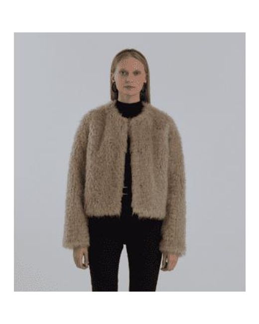 Molliolli Brown Fleece Round Neck Jacket- Beige X Small