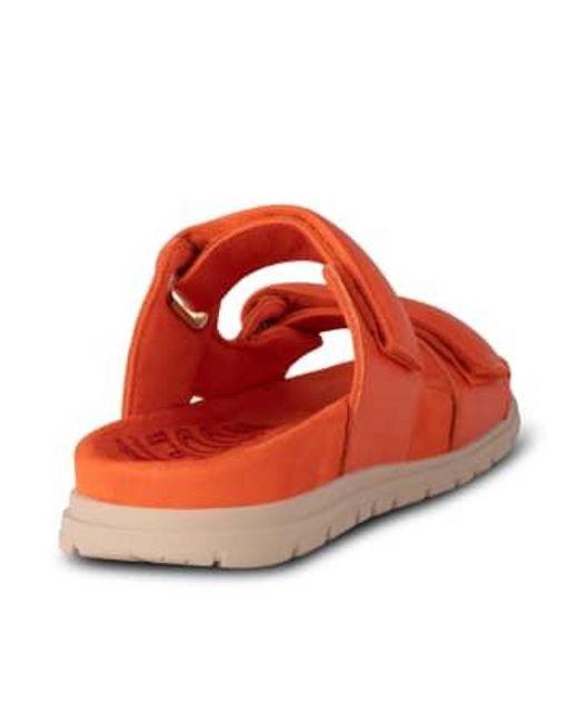 Tiger Lisa Leather Sandals di Woden in Orange