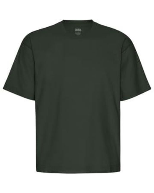 COLORFUL STANDARD Green Hunter Oversized Organic T-shirt L for men