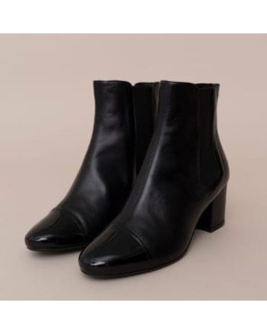 And Rose Louise Charol Ankle Boots di Mint & Rose in Black