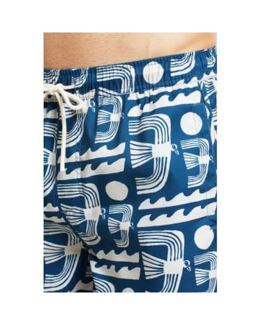Dedicated Blue Majolica Sandhamn Seagulls Swim Shorts / S for men