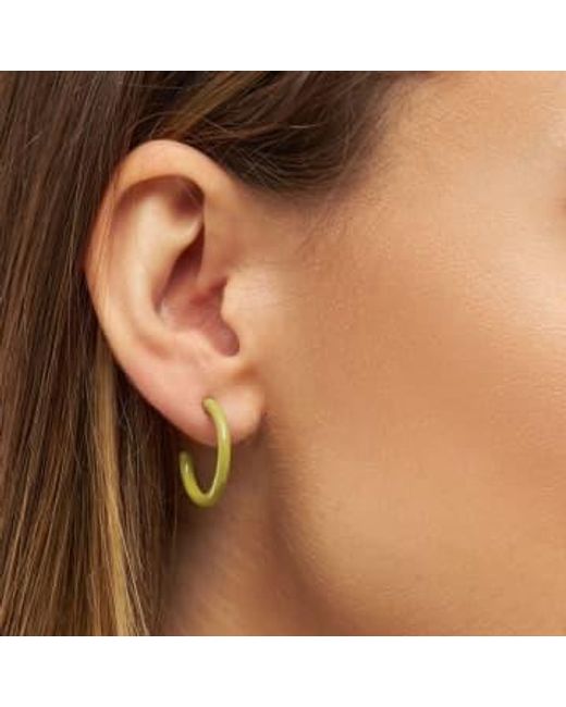 Lulu Green Color Hoops Medium Earrings / Willow / Olive