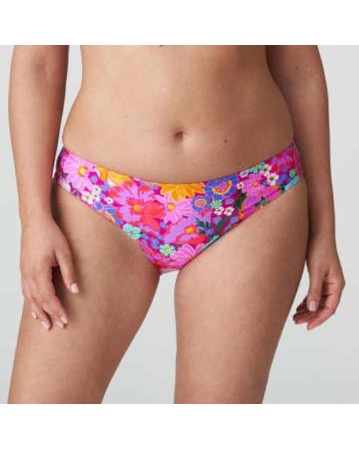 Première femme najac floral rio bikini brief Primadonna en coloris Pink