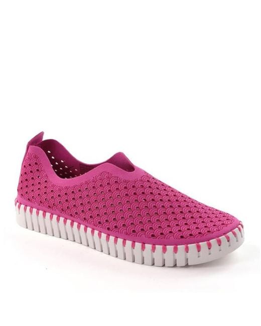 ilse jacobsen women's tulip