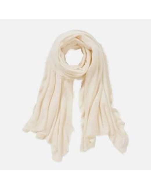 PUR SCHOEN Natural Hand Felted Cashmere Soft Scarf + Gift Wool