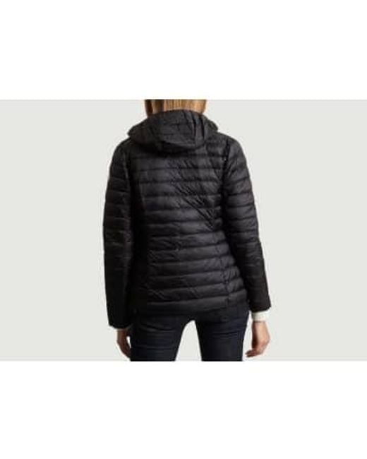 Just Over The Top Black Blue Cloe Padded Jacket for men