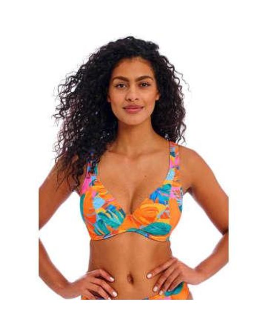 Freya Orange Aloha Coast Bikini Top in Schale