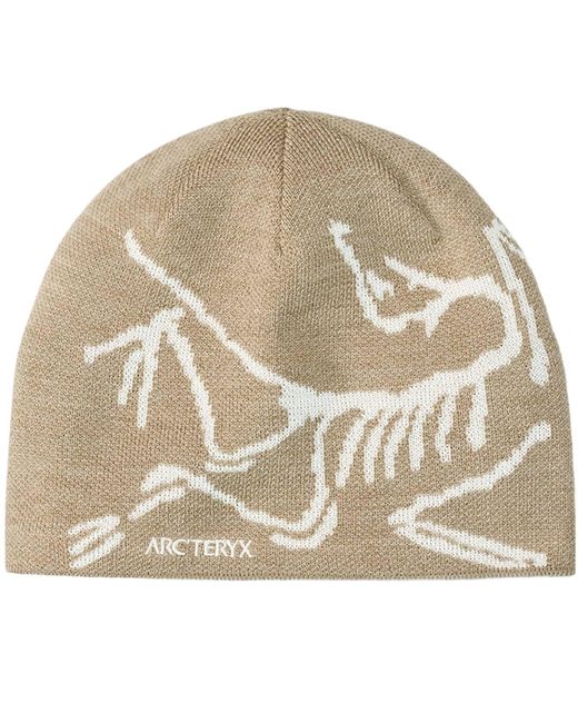 Arc'teryx Metallic Cappello Bird Head Toque Smoke Bluff/arctic Silk for men