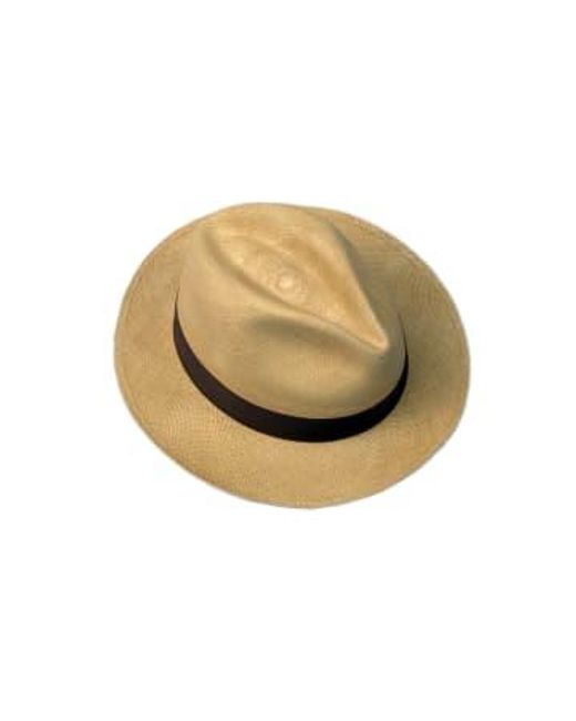 Bornisimo Brown Tobacco Panama Classic Hat for men