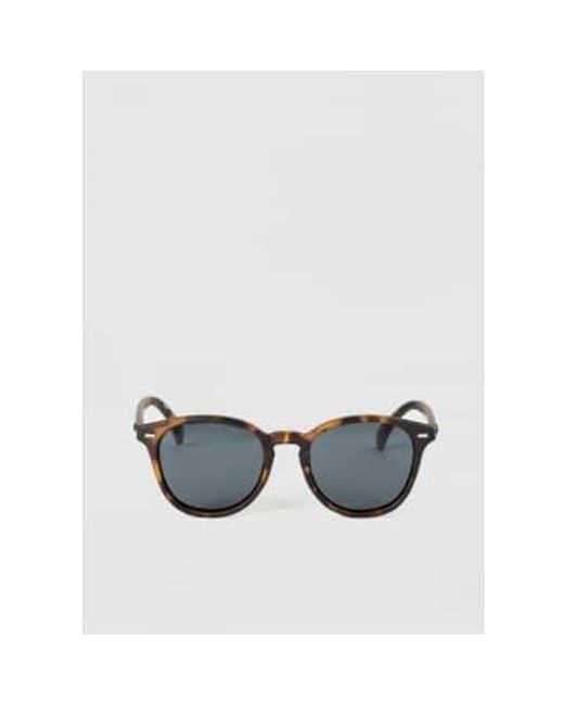 Womens Bandwagon Tort Classic Frame Sunglasses In di Le Specs in Brown