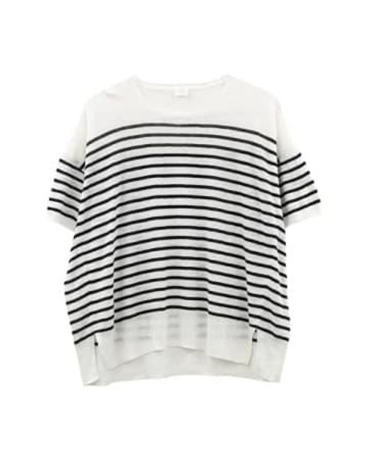 C.t. Plage White T-shirt Ct24131 /grey 38