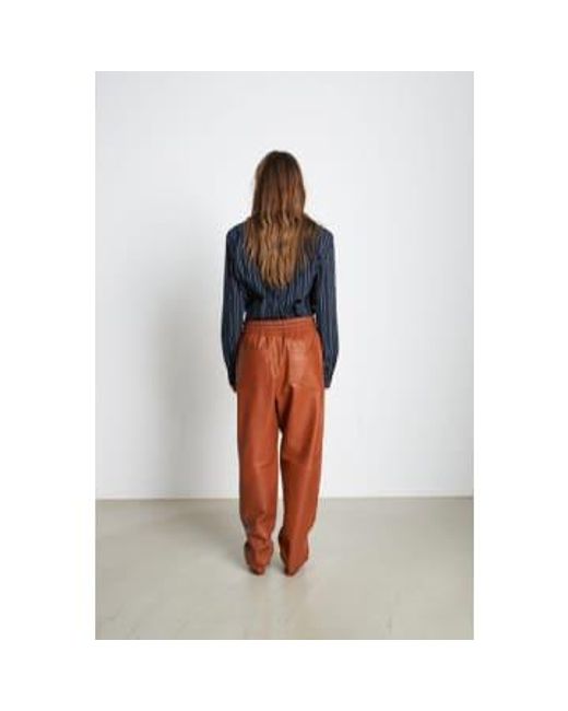 Stella Nova Blue Fadima Leather Pants Brown 36