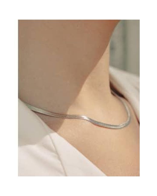 Nordic Muse Natural Snake Chain Choker Necklace, Waterproof Waterproof