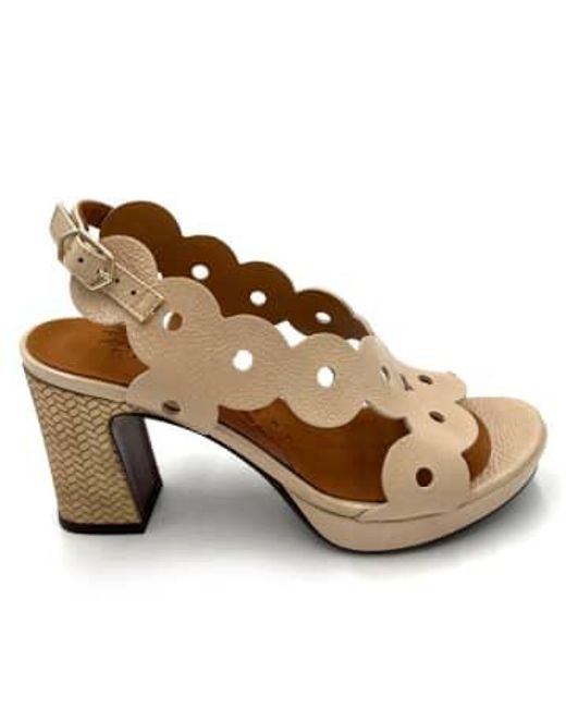 Chie Mihara Brown 'kenvy' Sandal 35