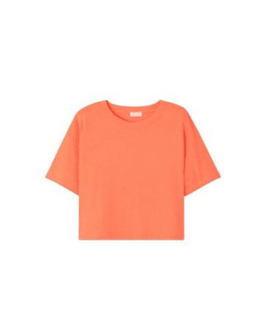 Lopintale T American Vintage de color Orange
