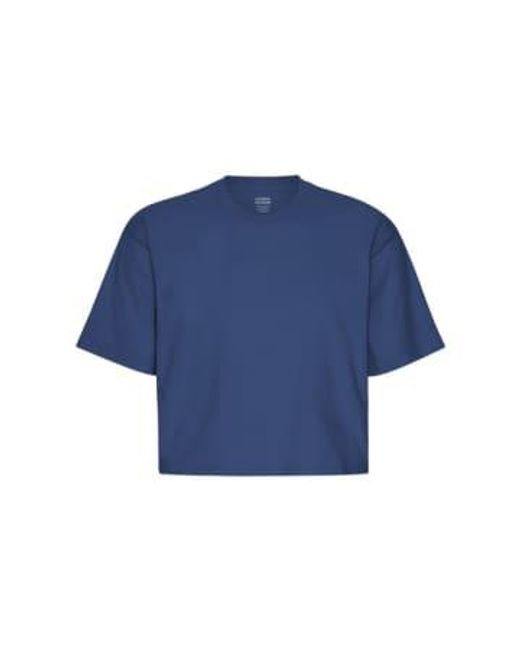 COLORFUL STANDARD Blue Boxy Crop T-shirt Marine Xs
