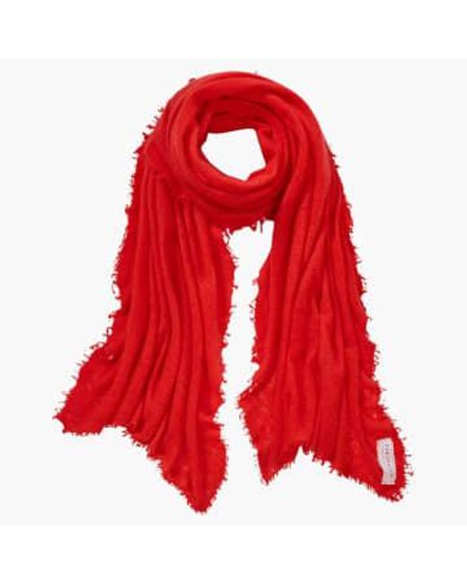 PUR SCHOEN Red Hand Felted Cashmere Soft Scarf Chili + Gift Wool