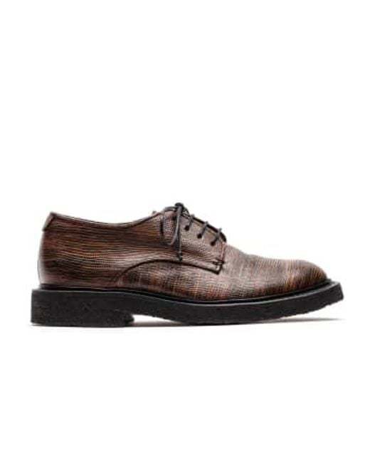 Tracey Neuls Brown Pablo Kelp for men