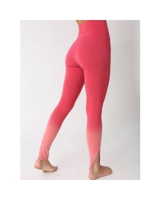 Electric and Rose Red Electric And Pierce legging